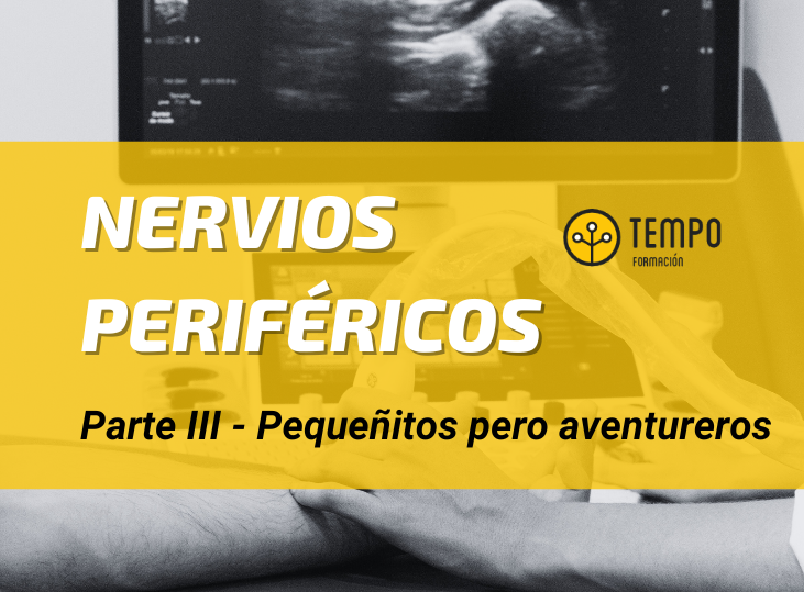 nervios-perifericos-y-ecografia-parte-iii-pequenos-y-aventureros